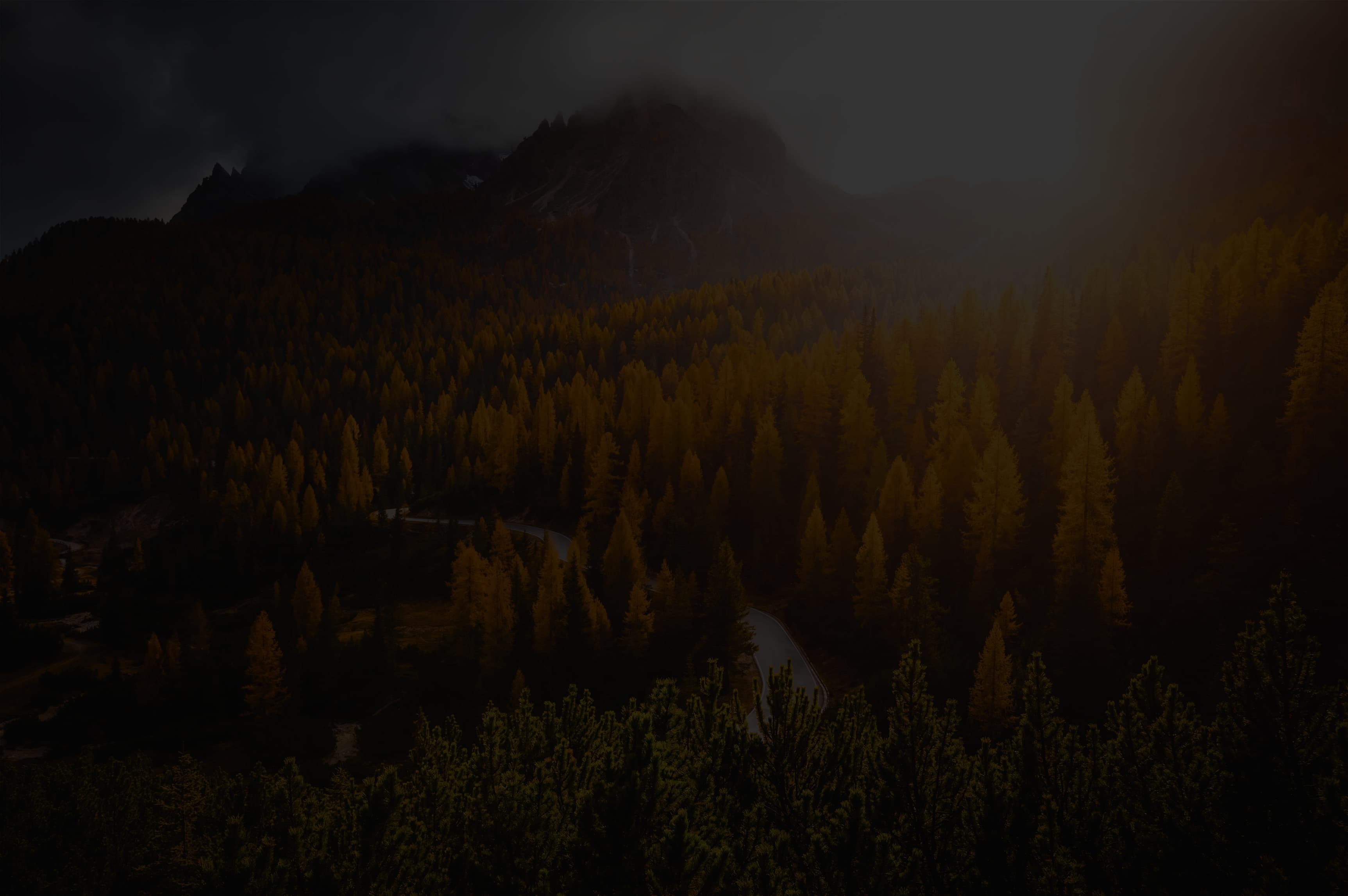 191477392_xl_web-crop