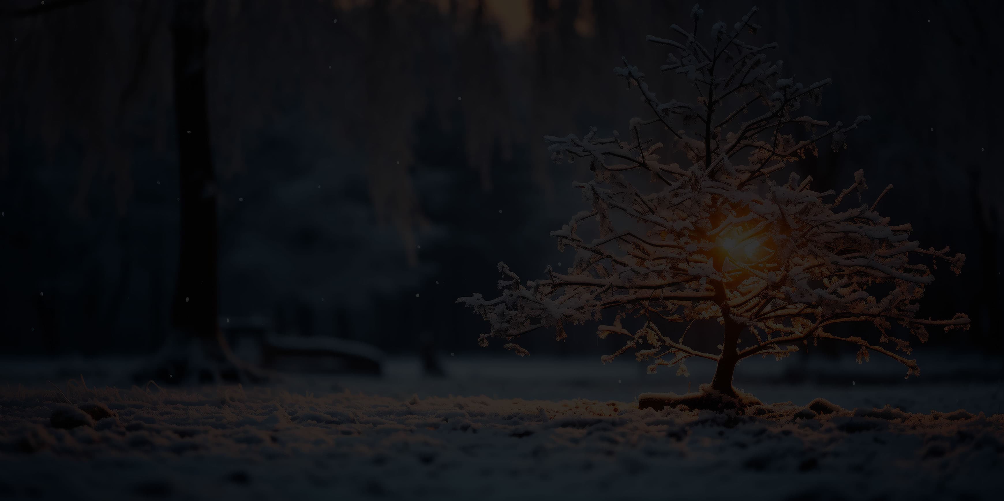 216510080_xl_web-crop
